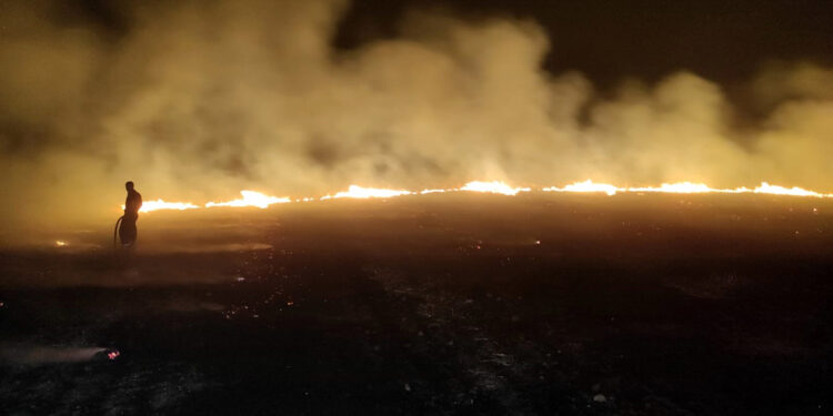 Diyarbakır'da çıkan anız yangını kontrol altında