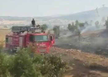 Diyarbakır'da örtü yangını