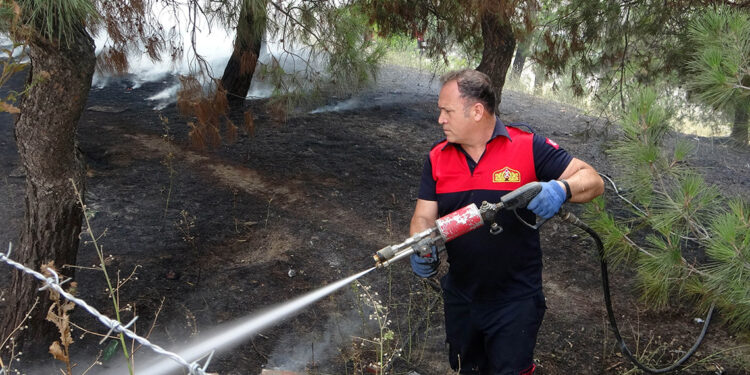 Edirne'de sanayi sitesindeki ağaçlık bölgede yangın