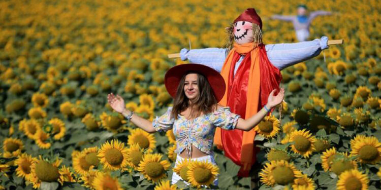 En iyi arkadaşım bir korkuluk (Bölüm 1)