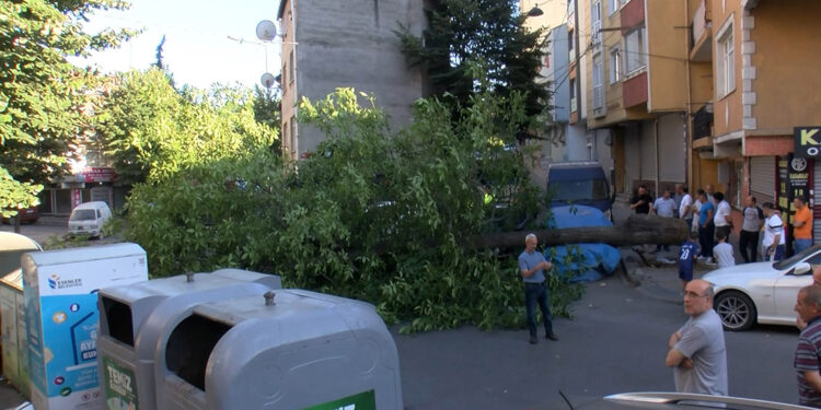 Esenler’de ceviz ağacı 2 otomobilin üzerine devrildi