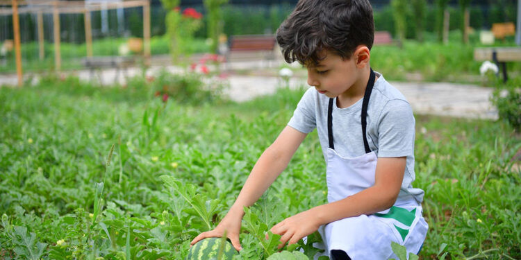 Fatih’te yaz atölyeleri başladı