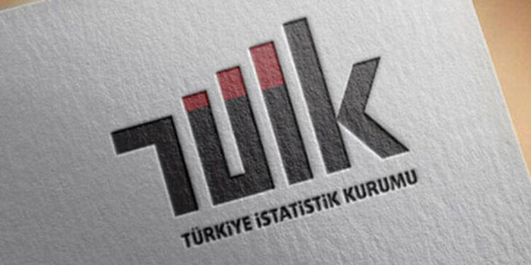 Finansal durumdan memnuniyet ortalaması yüzde 46,9