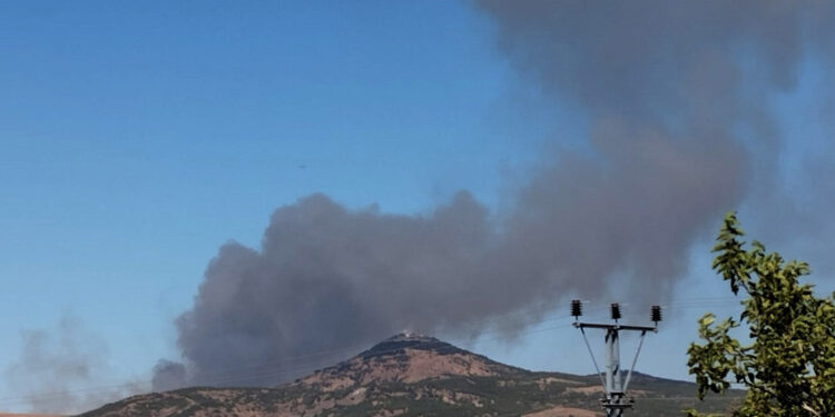 Gaziantep'te orman yangını