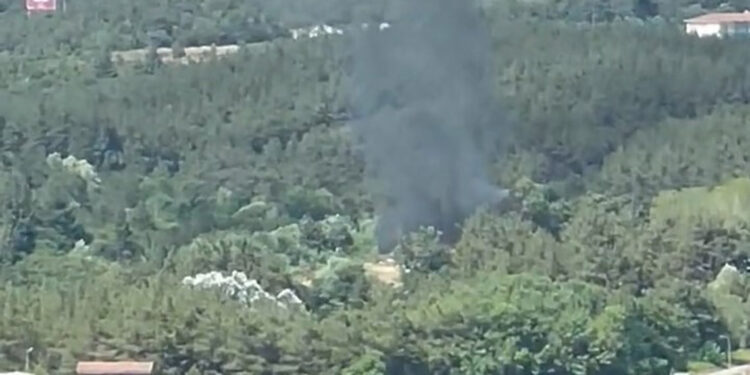 Hasdal'da orman yangını