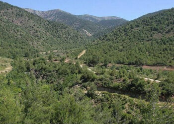 Hatay'da ormana girişler 31 Ekim'e kadar yasaklandı