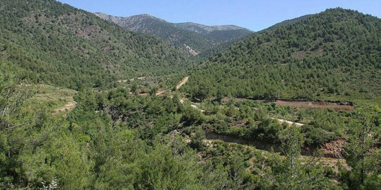 Hatay'da ormana girişler 31 Ekim'e kadar yasaklandı