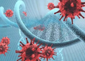 Hepatit virüsü, yılda 750 binden fazla can alıyor