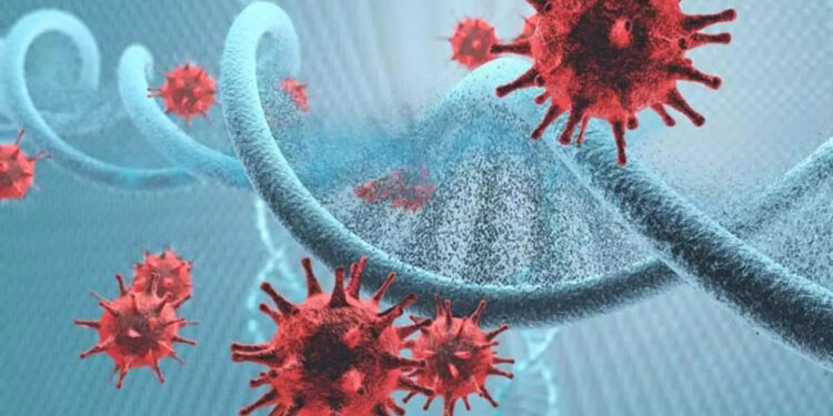 Hepatit virüsü, yılda 750 binden fazla can alıyor