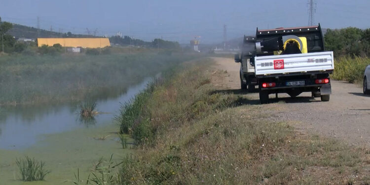 İBB Sazlıdere'de sivrisineklere karşı ilaçlama yaptı