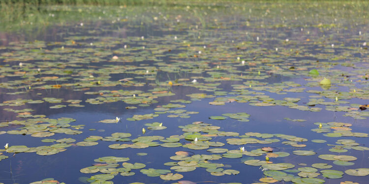 Işıklı Gölü'nde, bayramda ziyaretçi yoğunluğu