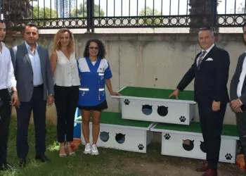 İzmir adalet sarayı'nın kedilerine atıl malzemelerden ev yapıldı