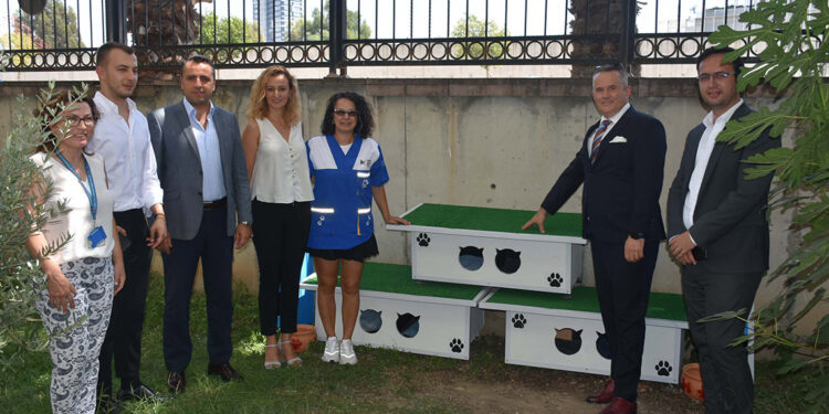 İzmir Adalet Sarayı'nın kedilerine atıl malzemelerden ev yapıldı