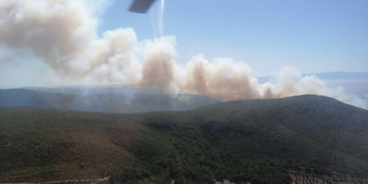 İzmir Çeşme'de orman yangını