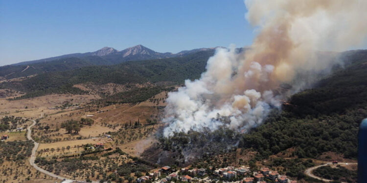 İzmir Güzelbahçe'de orman yangını