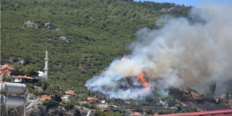 İzmir Kemalpaşa'da orman yangını çıktı