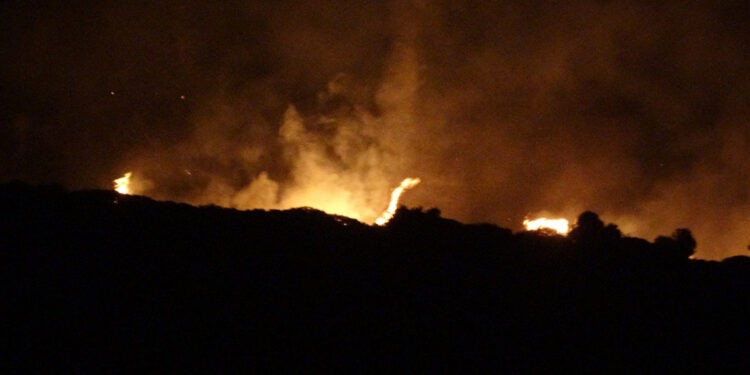 İzmir çeşme'de orman yangını
