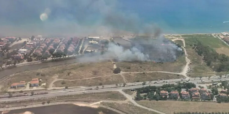 İzmir'de sazlık yangını