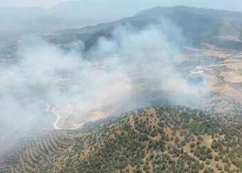 İzmir'de tarlada çıkan yangın, ormana sıçradı