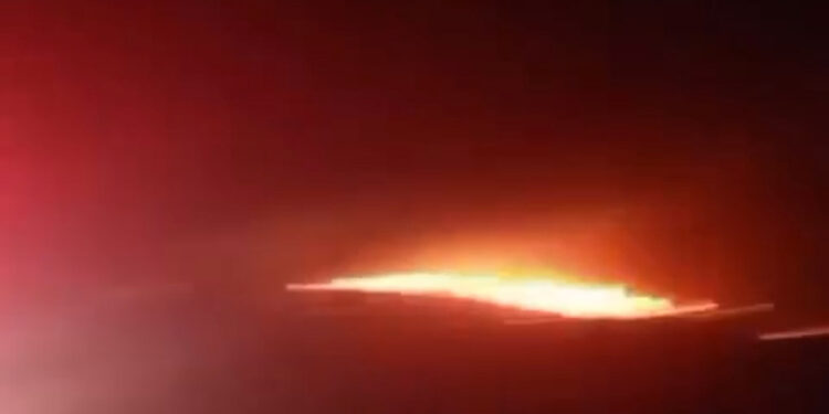 İzmir'in Urla ilçesinde makilik yangını