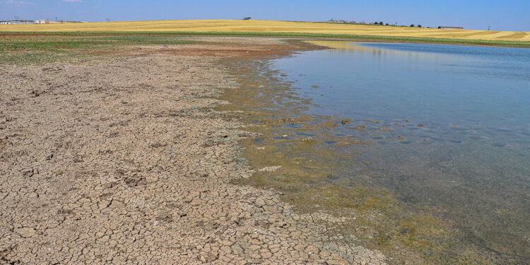 Kabaklı Göleti'nde kuraklık alarmı; uzmandan uyarı geldi