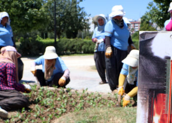 Kadın peyzaj işçilerinin sıcakta zorlu mesaisi