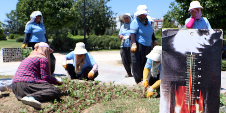 Kadın peyzaj işçilerinin sıcakta zorlu mesaisi