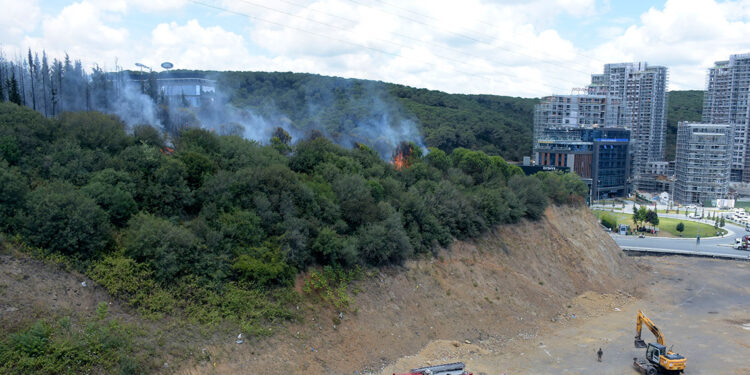 Kağıthane'de TEM Otoyolu kenarında ağaçlarda yangın