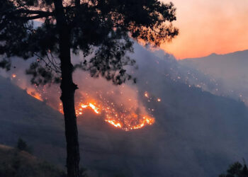 Kahramanmaraş'taki yangında 100 hektar alan kül oldu