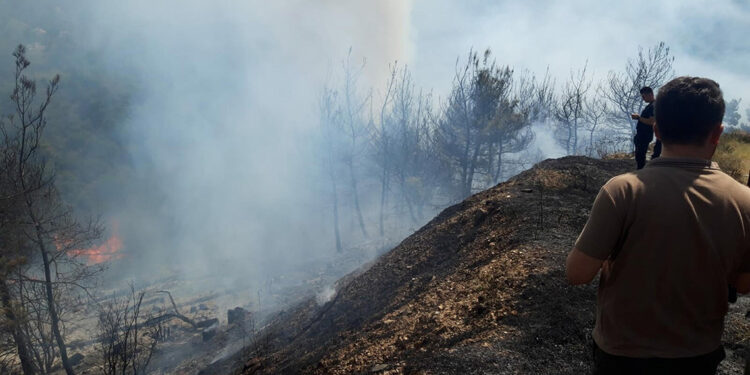 Kemalpaşa'da orman yangın