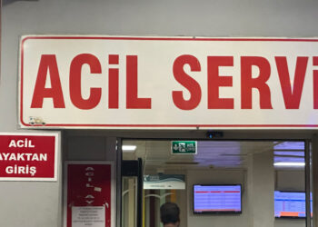 Komşularının kavgasını ayırmak isterken öldürüldü