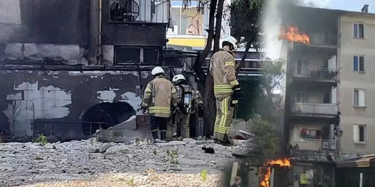 Kömürlükteki yangında 4 kedi yaralı olarak kurtarıldı