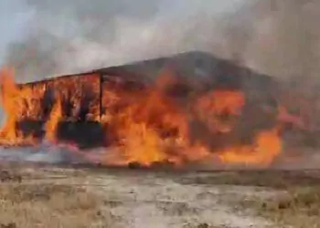 Konya'da, çiftlikte çıkan yangında 33 büyükbaş öldü