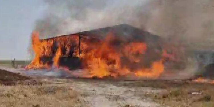 Konya'da, çiftlikte çıkan yangında 33 büyükbaş öldü