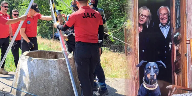 Korhan Berzeg'i arama çalışmaları 22'nci gününde