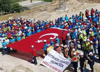 Maden şirketi Akbelen ormanına 130 bin fidan dikecek 
