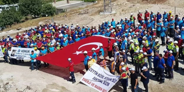 Maden şirketi Akbelen ormanına 130 bin fidan dikecek 