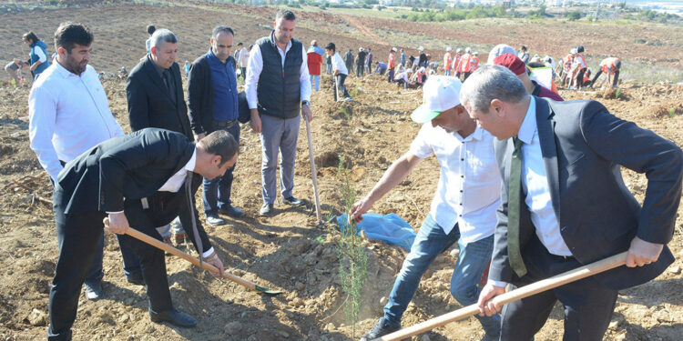 Manavgat yangın alanında 5 milyon fidan toprakla buluştu