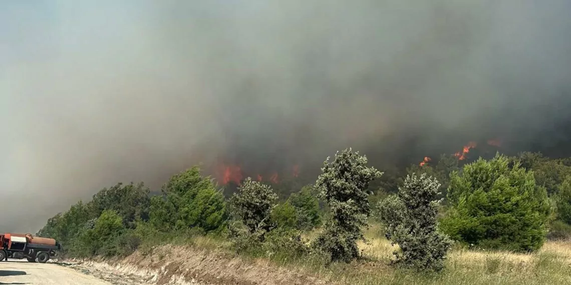 Manisadaki orman yangini 2nci gununde suruyors - öne çıkan - haberton