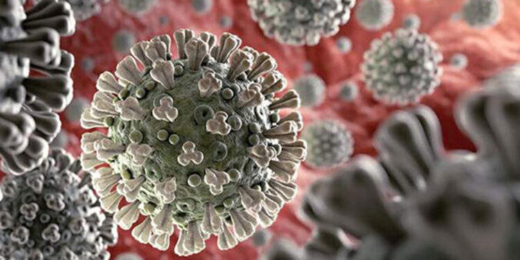 Marburg virüsü dünyayı tehdit ediyor