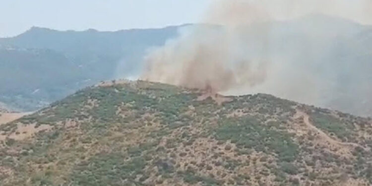 Menemen'de orman yangını