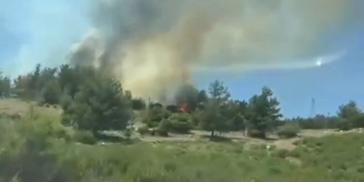 Mersin Mezitli'de orman yangını