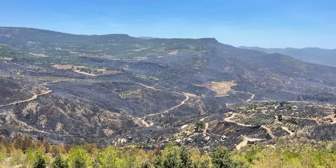 Mersindeki orman yangini kontrol altina alindiz - öne çıkan - haberton