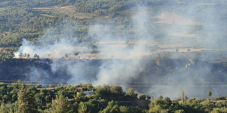 Mersin'deki orman yangınına müdahale sürüyor