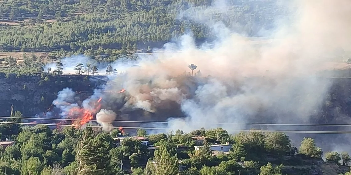 Mersindeki orman yanginina mudahale suruyorea 1 - öne çıkan - haberton