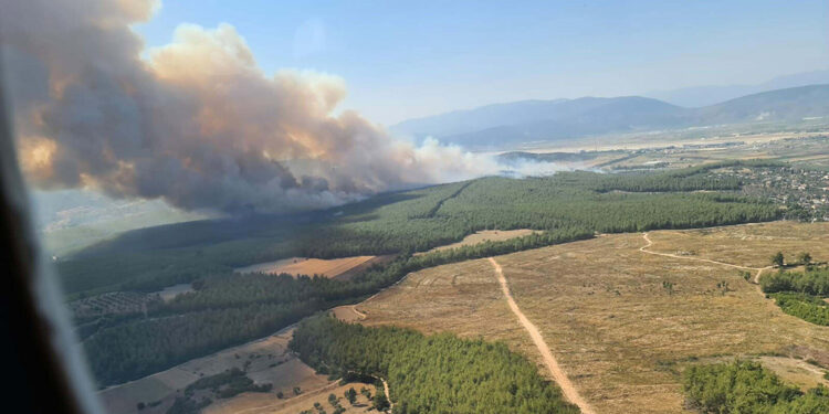 Milas'taki büyük yangını torpil atarak çıkarmış