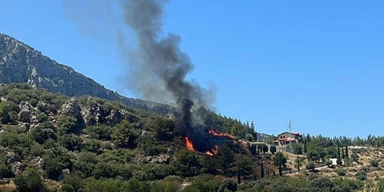Muğla Datça'da orman yangını