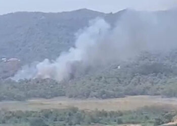 Muğla Fethiye'de orman yangını