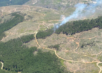 Muğla Kavaklıdere'de orman yangını