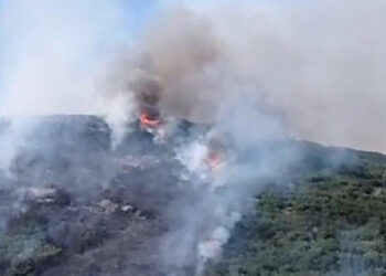 Muğla Menteşe'de orman yangını